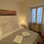Magenta Luxury Montevecchio