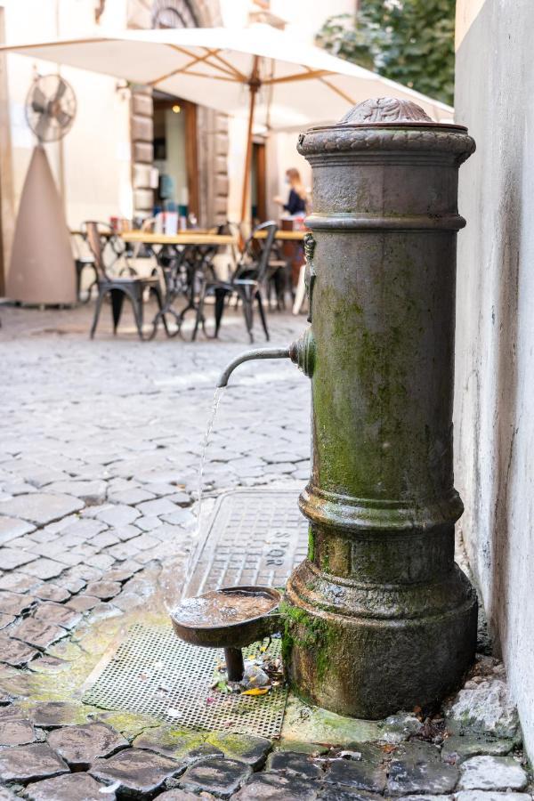 Navona 